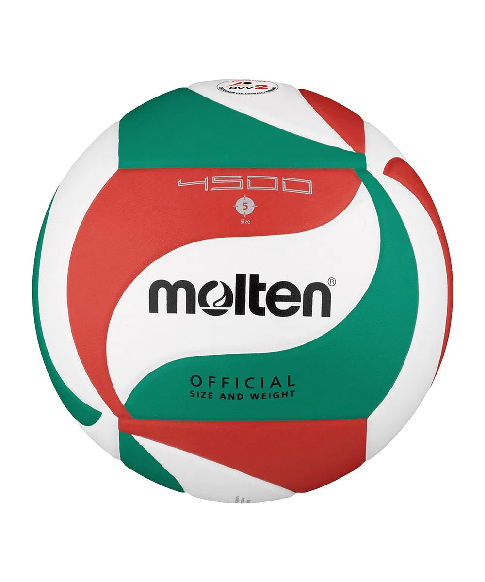 Molten V5M4500-DE bianco/blu/argento