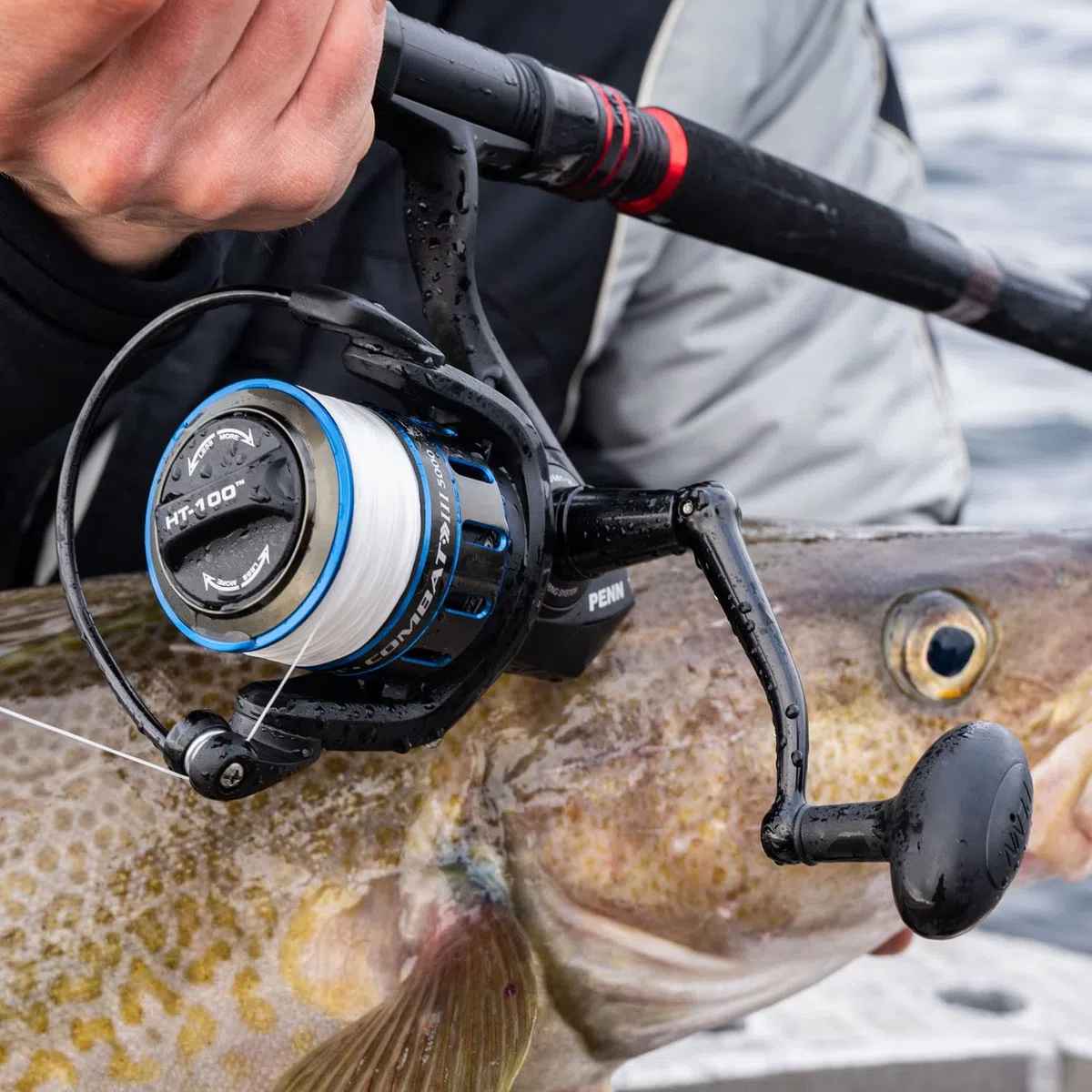 PENN Mulinello Combat III per pesca in acqua salata, versatile, per barca, kayak, riva, spinning, jigging, surf e uso a tutto tondo, nero/blu