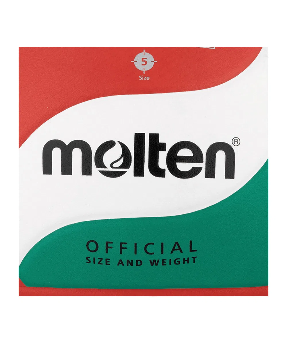 Molten V5M4500-DE bianco/blu/argento