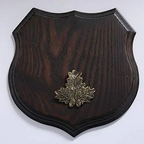 GTK Corna & trofei in Legno di Corno 1 X Scudo Cinghiale Trofeo Cartello a Forma di Stemma, AF 19 cm, con Foglia di Quercia Massiccio + Piccolo